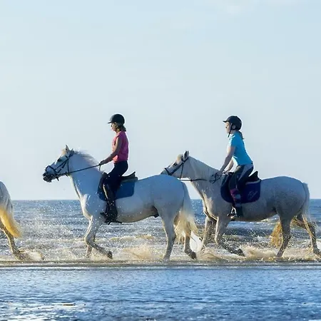 Charmant 2 pièces à 500 m des plages et du centre Cabourg Extérieur photo
