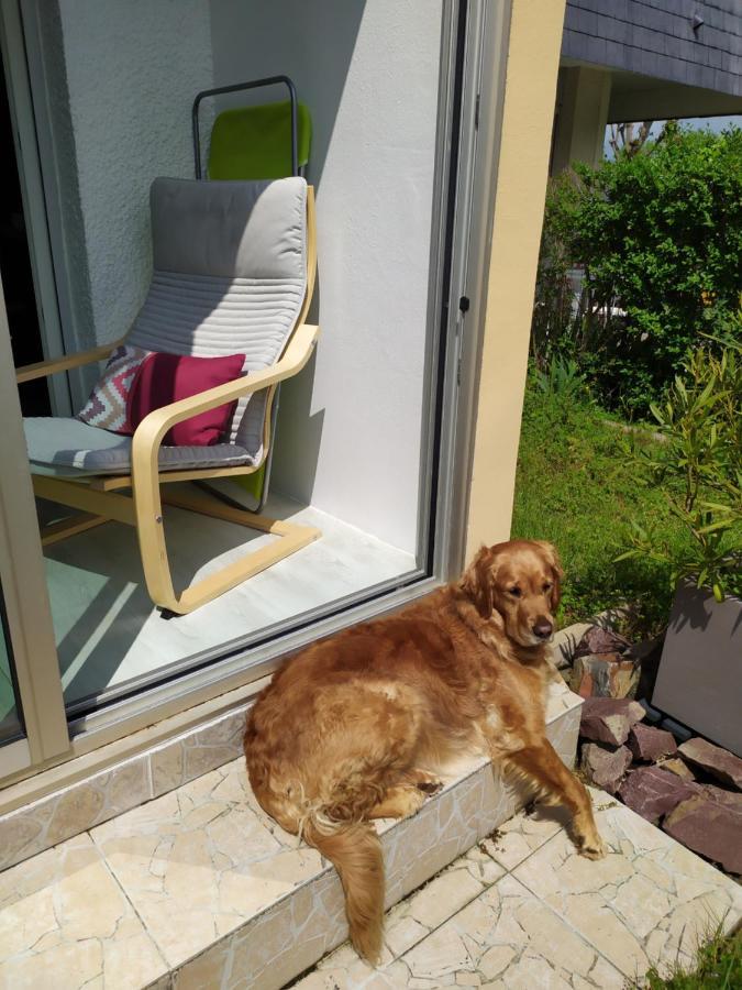 2 Pièces à 500 M Des Plages Et Du Centre Appartement Cabourg