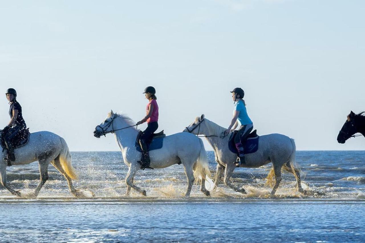 2 Pièces à 500 M Des Plages Et Du Centre Appartement Cabourg